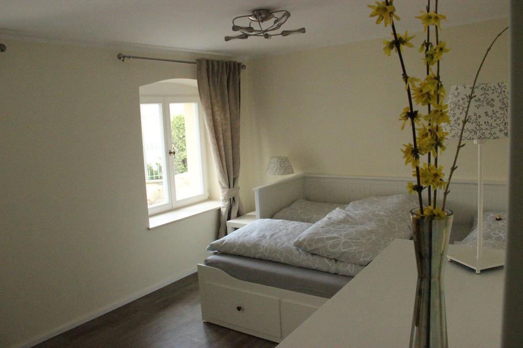 Ferienwohnung An Der Elbe Дрезден Екстериор снимка