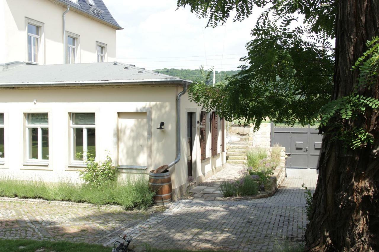 Ferienwohnung An Der Elbe Дрезден Екстериор снимка