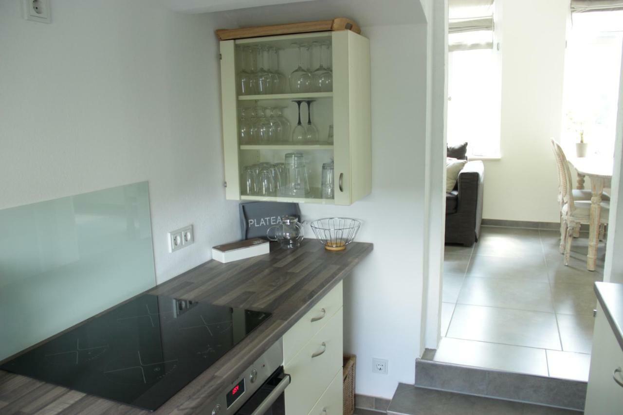 Ferienwohnung An Der Elbe Дрезден Екстериор снимка